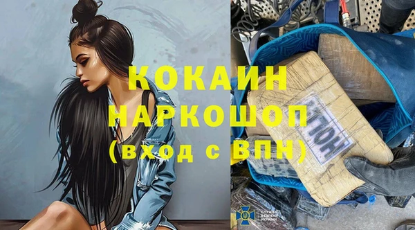 spice Богданович