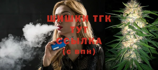 spice Богданович