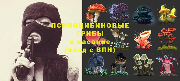 spice Богданович