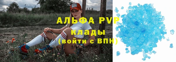 spice Богданович