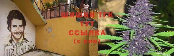 apvp Богородицк