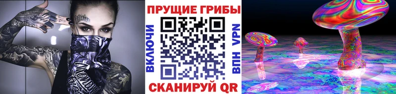omg зеркало  Муравленко  Псилоцибиновые грибы ЛСД 
