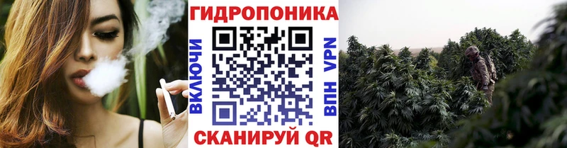 цена   Муравленко  Конопля тримм 